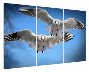Obraz do bytu - ptáci (120x80cm)