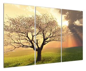 Obraz stromu (120x80cm)
