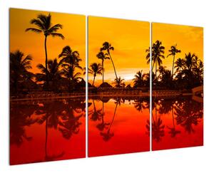 Obraz - tropická krajina (120x80cm)