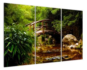 Obraz dřevěného mostu (120x80cm)