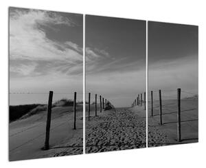 Obraz - cesta v písku (120x80cm)