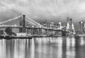 Fototapeta Brooklyn Bridge, rozměr 368 cm x 254 cm, fototapety Sunny Decor SD934