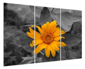 Obraz oranžového květu (120x80cm)