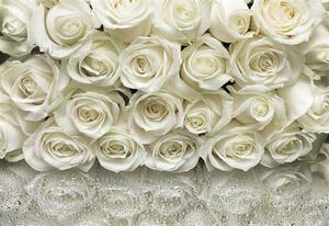 Fototapeta růže bílé, rozměr 368 cm x 254 cm, fototapety A La Rose Sunny Decor SD314