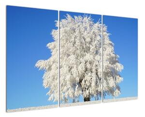 Zasněžený strom - obraz (120x80cm)