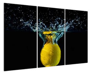 Obraz citrónu ve vodě (120x80cm)