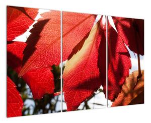 Obraz červených listů (120x80cm)