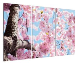 Kvetoucí strom - obraz (120x80cm)