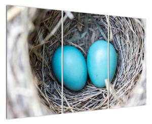 Obraz modrých vajíček v hnízdě (120x80cm)