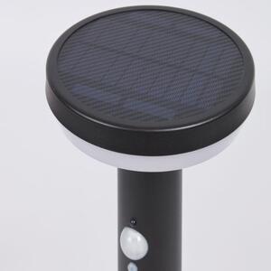 Černá kovová zahradní solární LED lampa Kave Home Alima 50 cm