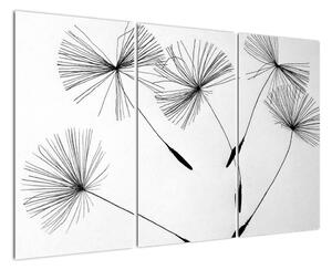 Černobílý obraz - chmýří (120x80cm)