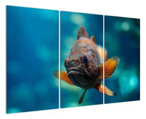 Obraz - ryba (120x80cm)