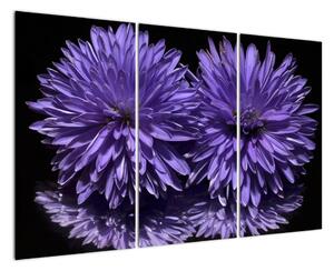Obraz fialových květů (120x80cm)