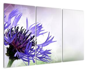 Obraz fialového květu (120x80cm)