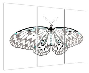 Černobílý motýl (120x80cm)