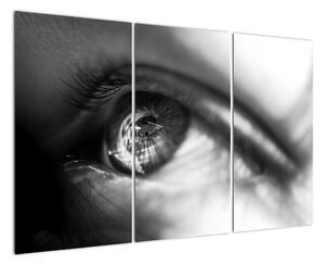 Černobílý obraz - detail oka (120x80cm)