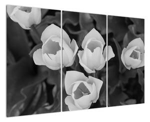 Černobílé květy (120x80cm)