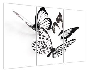Obraz motýlů (120x80cm)