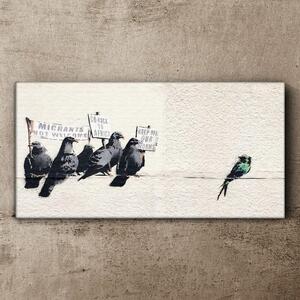 Obraz na plátně Obraz na plátně Protestující Birds Banksy