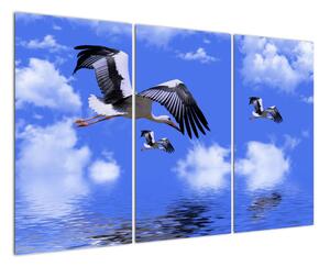 Obraz letících čápů (120x80cm)