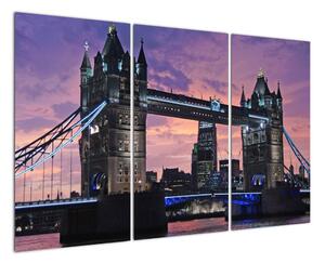 Obraz s Tower Bridge (120x80cm)