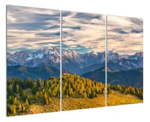 Obraz - panorama hor (120x80cm)