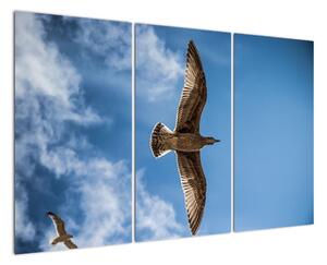Obraz letícího ptáka (120x80cm)