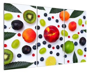 Moderní obraz - ovoce (120x80cm)