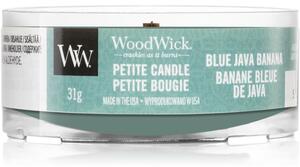 Woodwick Blue Java Banana votivní svíčka s dřevěným knotem 31 g