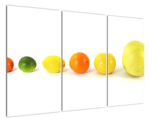 Obraz - ovoce (120x80cm)
