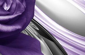 Obraz abstraktní růže Purple Velikost (šířka x výška): 100x50 cm