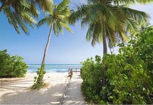 Vliesové fototapety, rozměr 368 cm x 254 cm, palmová pláž, Sunny Decor SD945