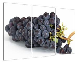 Obraz s hroznovým vínem (120x80cm)