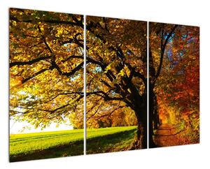 Obraz podzimní krajiny (120x80cm)