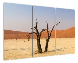 Obraz pouště (120x80cm)