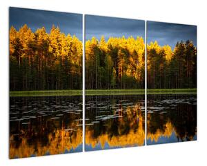 Obraz - podzimní krajina (120x80cm)