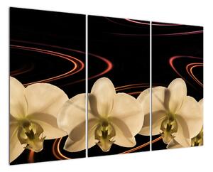 Obraz s orchidejí (120x80cm)