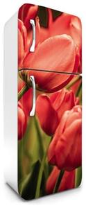Samolepící tapety na lednici, rozměr 180 cm x 65 cm, tulipány, DIMEX FR-180-012