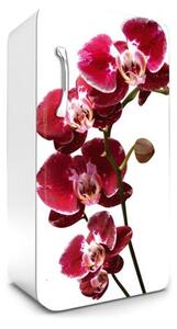 Samolepící tapety na lednici, rozměr 120 cm x 65 cm, orchidej, DIMEX FR-120-014