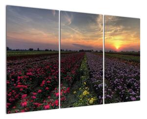Lány květin, obrazy (120x80cm)