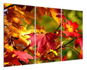 Podzimní listí, obraz (120x80cm)