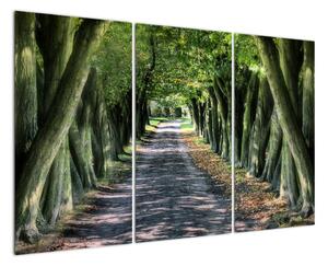 Údolí stromů, obrazy (120x80cm)