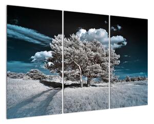 Strom v zimě, obraz na zeď (120x80cm)