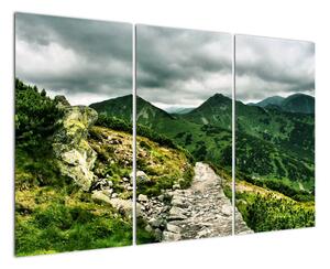 Horská cesta - obraz na stěnu (120x80cm)