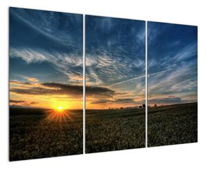 Západ slunce na poli - moderní obraz (120x80cm)