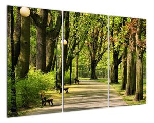 Cesta v parku - obraz (120x80cm)