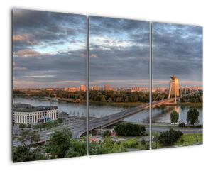 Pohled na město - obraz (120x80cm)