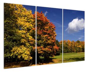Podzimní stromy - obraz do bytu (120x80cm)