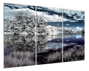 Zimní krajina - obraz (120x80cm)
