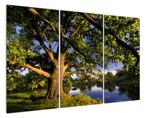 Obraz stromu (120x80cm)